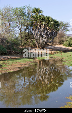 Kenya, Kajiado District, Ol Doinyo Orok. Guerrieri Maasai attendere istruzioni da anziani durante una cerimonia Eunoto Foto Stock