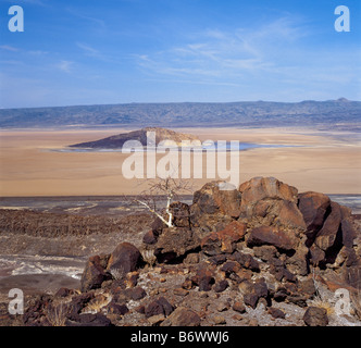 Il Kenya, il Masai Mara, Narok distretto. Un grande coccodrillo del Nilo si crogiola al sole su una banca del fiume di Mara. Foto Stock