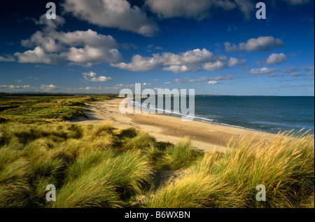 Druridge Bay vicino Cresswell, Northumberland Foto Stock