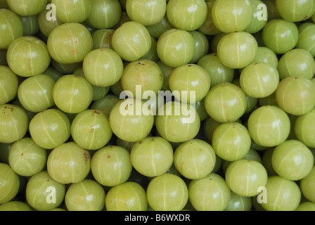 Close up Awala frutta. Nome scientifico Indian gooseberry (Phyllanthus emblica, syn. Emblica officinalis) Foto Stock