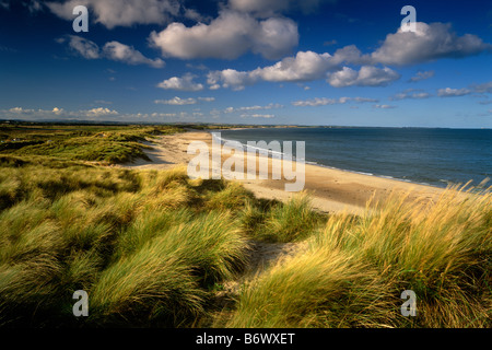 Druridge Bay vicino Cresswell, Northumberland Foto Stock