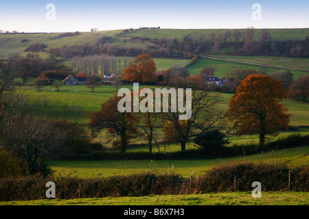 Vista rurale da Henley Hill cercando attraverso la parte posteriore della dimora Buckland Newton Foto Stock