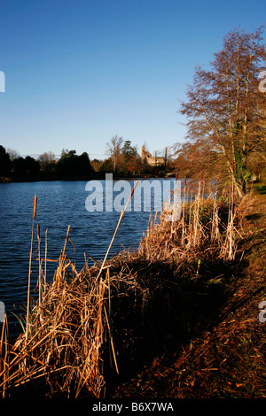 Vista della vecchia Sherborne Castle di tutto il lago incastonato nel parco del castello progettato da Lancelot Brown per Lord Digby nel 1753 Foto Stock