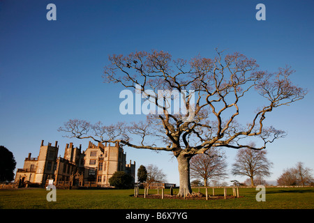 Sherborne Castle, un sedicesimo secolo Tudor mansion del vecchio mercato del paese di Sherborne sul bordo di Blackmore Vale nel nord del Dorset Foto Stock