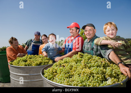 Tre generazioni della famiglia viticoltore Meyer presso l'annata Foto Stock