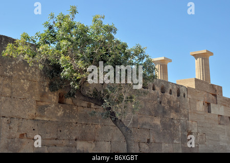 Antica Acropoli di Lindos sul isola greca di Rodi Foto Stock