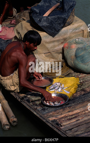 India, Bengala Occidentale, Sunderbans, Delta del Gange, pescatore su una barca Foto Stock