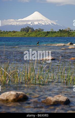 Vulcano Osorno da Puerto Varas con Lago Llanquihue in foregound Foto Stock