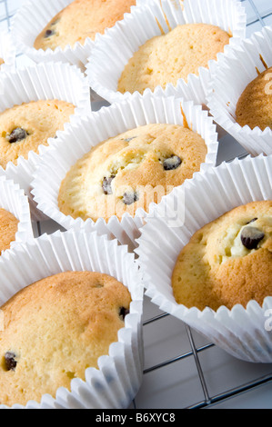 Cuocere i tortini posto sulla griglia di raffreddamento per raffreddare. La ricetta è per chip di cioccolato torte con topping di cioccolato Foto Stock