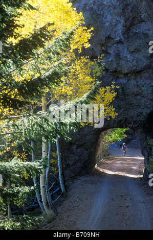 Una giovane donna pedali la sua mountain bike attraverso un tunnel di roccia circondato da golden aspen lascia in San Francisco Peaks vicino a F Foto Stock