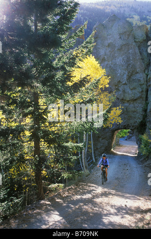 Una giovane donna pedali la sua mountain bike attraverso un tunnel di roccia circondato da golden aspen lascia in San Francisco Peaks vicino a F Foto Stock