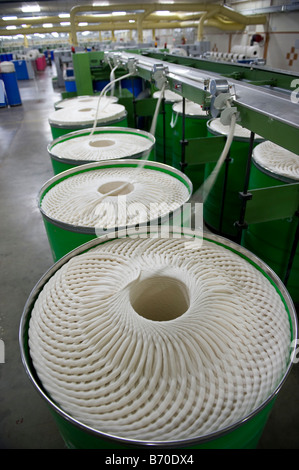 India Indore , fibre Mahima Ltd. filatura di produrre filati di cotone proveniente da agricoltura biologica e il commercio equo e solidale il cotone Foto Stock