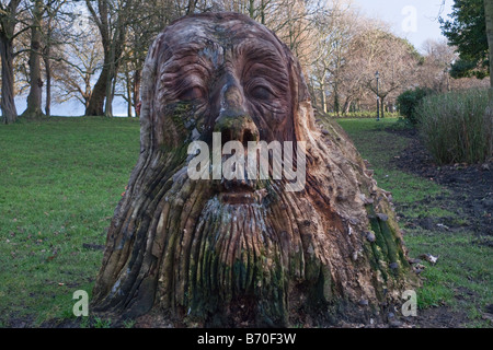 Legno intagliato in testa Sefton Park Liverpool Foto Stock