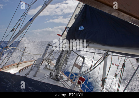 La prua si blocca in onda su un Crealock 34 barca a vela facendo un passaggio di Dicembre da noi a metà costa Atlantica ai Caraibi Foto Stock
