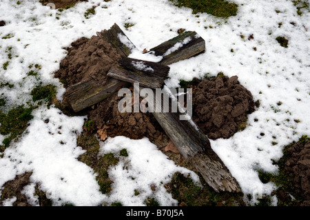 Caduta di una tomba di legno che giace nella neve. Foto Stock