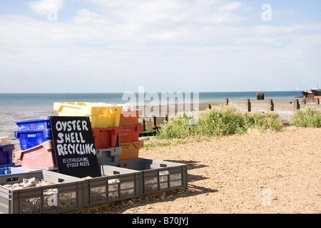 Guscio di ostrica riciclaggio, Whitstable Kent REGNO UNITO Foto Stock