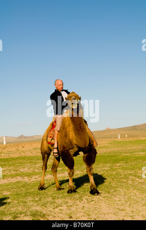 Un viaggiatore gode di se stesso sulla parte superiore di un cammello bactrian nelle vaste praterie della Mongolia. Foto Stock