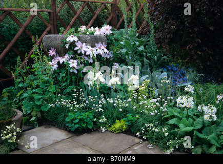 Angolo bianco con iris barbuto a Chelsea Foto Stock