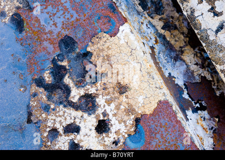 Sfondo texture astratta di metallo arrugginito in tonalità di rosso bianco e blu Foto Stock