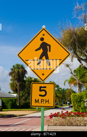 Palm Beach Shores interessanti indicazioni su strada pedonale di limite di velocità di 5 mph ? O si tratta per auto quando pedoni che attraversano road ? Foto Stock