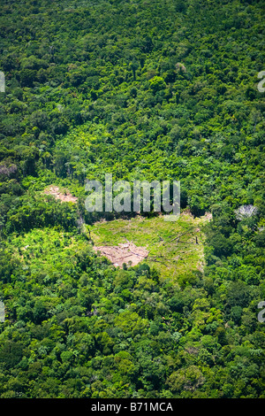 Il Suriname, Laduani, presso la banca di Boven Suriname fiume. Antenna della foresta e zona disboscata, utilizzato per l'agricoltura. Foto Stock