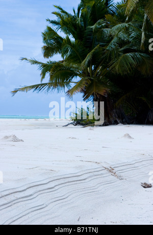 Un appartato, pura spiaggia di sabbia bianca sulla West Island il Cocos Keeling Islands, Australia nell'Oceano Indiano. Foto Stock