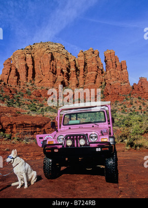 Bianco pastore tedesco indossando Doggles si siede da Pink Jeep in Sedona Foto Stock