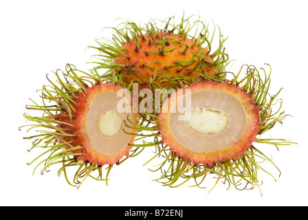 Rambutan fresco isolato su uno sfondo bianco Nephelium lappaceum Foto Stock