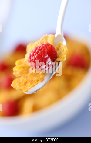 Cucchiaio di latte con fiocchi di mais e lampone ciotola di cereale in background Foto Stock