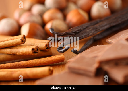 Le nocciole bastoncini di cannella di baccelli di vaniglia e cioccolato Foto Stock