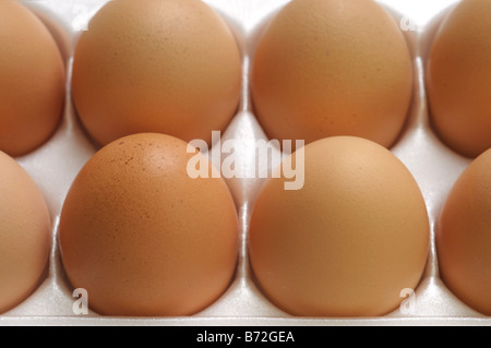 Close up di marrone uova in cartone, le uova di gallina Foto Stock