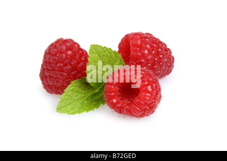 Il lampone rosso con foglie tagliate su sfondo bianco Foto Stock