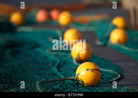 Rete da pesca con galleggianti di colore giallo giacente fuori sul molo ad asciugare al sole la contea di Down Irlanda del Nord Regno Unito Foto Stock