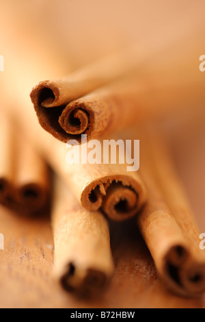 Bastoncini di cannella messa a fuoco selettiva Foto Stock