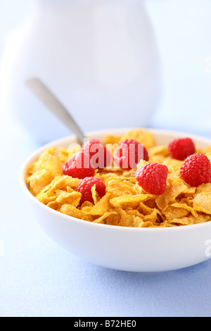 Ciotola di corn flakes con frutti di bosco per la prima colazione Foto Stock