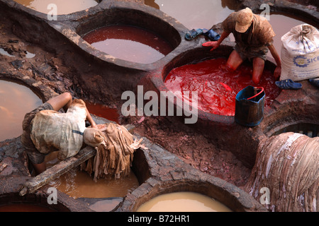 Bacini di vernice in Fes concerie, Fes, Marocco Foto Stock