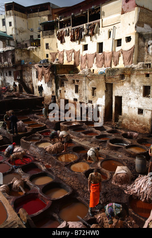 Bacini di vernice in Fes concerie, Fes, Marocco Foto Stock