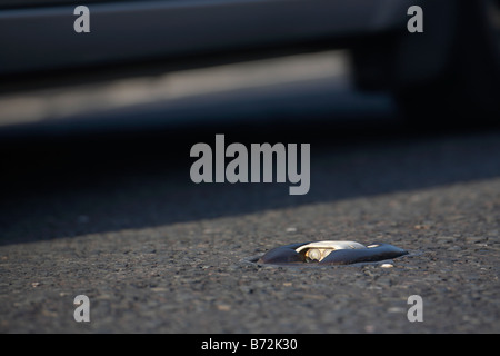 Auto passando dai gatti occhio sepolto nella strada asfaltata della contea di Down Irlanda del Nord Regno Unito Foto Stock