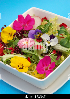 Insalata con fiori commestibili ricetta disponibile Foto Stock