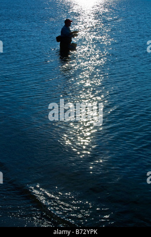 Silhouette del pescatore solitario guadare in acqua a Compo Beach, Westport, Connecticut all'alba. Foto Stock