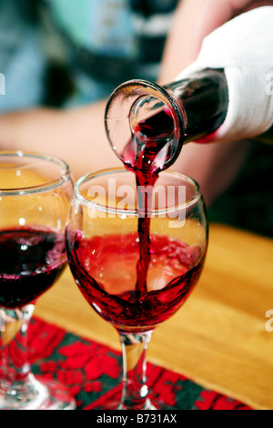 Analisi del vino in Ungheria Foto Stock