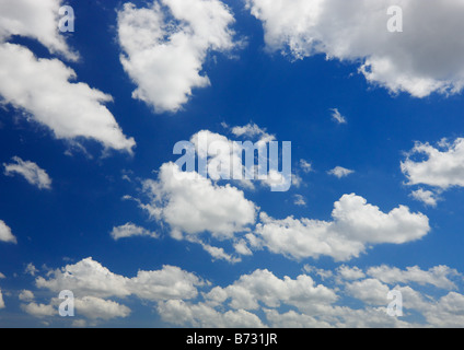 Puffy nubi in un cielo blu Foto Stock