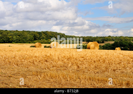 Campagna Picardia Francia Foto Stock