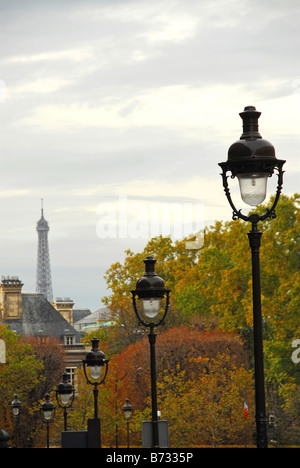 Strada di Parigi Francia con lightposts su nuvoloso giorno di autunno Foto Stock