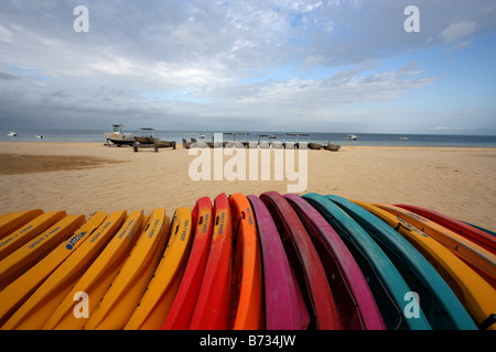 Una fila di vivacemente colorato Canoe sulla spiaggia QUEENSLAND AUSTRALIA ORIZZONTALE11375 BDB Foto Stock