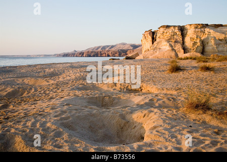 Spiaggia a Ras Al Jinz in Oman dove le tartarughe verdi venuti a deporre le loro uova - questi fori sono il risultato della loro copertura della loro uova Foto Stock