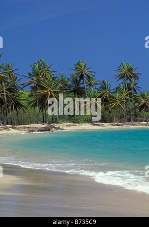 Spiaggia Paradiso in Grenadine isola di Carriacou Foto Stock