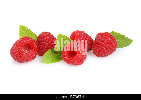 Il lampone rosso con foglie tagliate su sfondo bianco Foto Stock