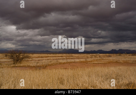 Prati e montagne vicino Douglas in Arizona Messico confine su una burrascosa serata invernale Foto Stock