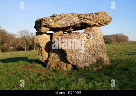 Lunga Cairn sepoltura camera presso il St Lythans vicino a Cardiff Galles Wales Foto Stock